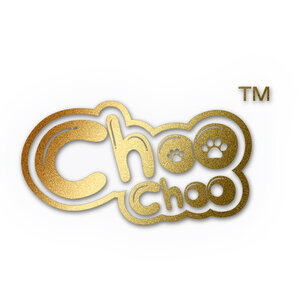 choo choo (ซุป)