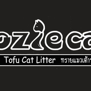 เคี่ยนหวู (ทรายแมวเต้าหู้)