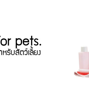 แชมพู+บำรุงขน