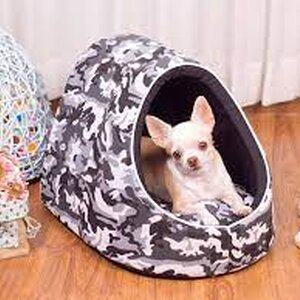 โดม/บ้าน