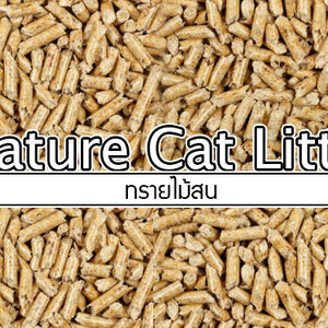 ทรายแมวเปลือกไม้