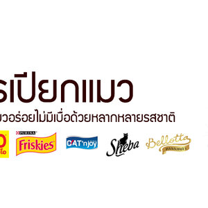 อาหารเปียกแมว