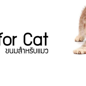 ขนมแมว