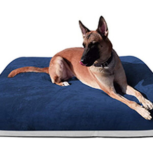 ที่นอนฟองน้ำ