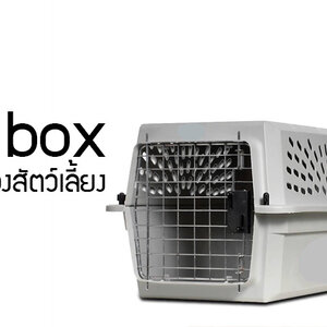 กรง-Boxเดินทาง